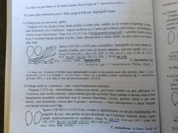 8E23DC1A-3BB1-4ECA-B50C-1D8389D9B2D8.jpeg