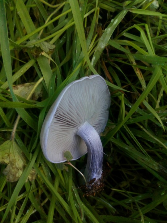 DSC_1108.JPG