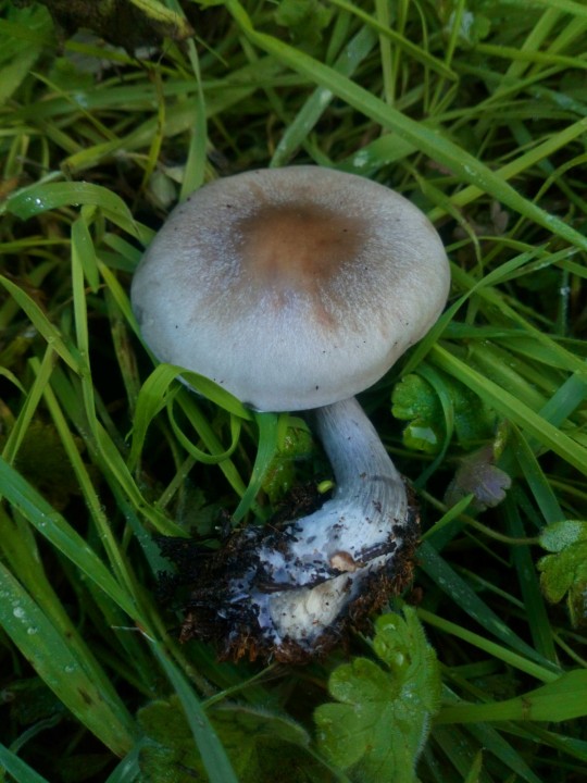 DSC_1115.JPG