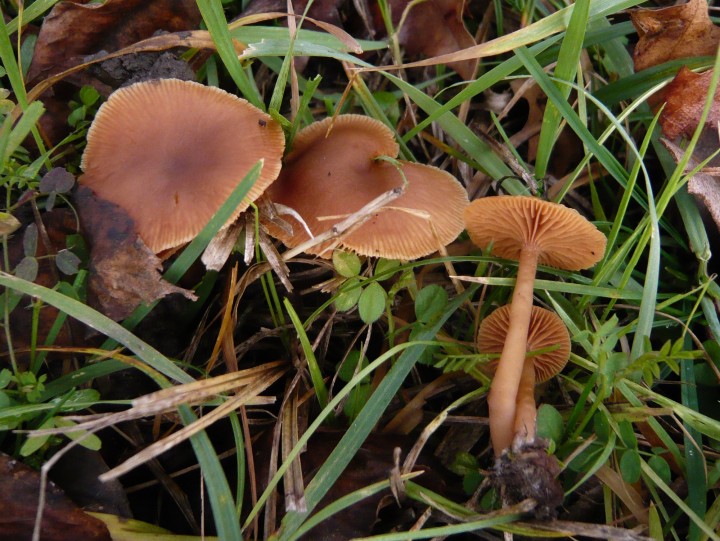 P1040123.JPG