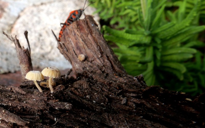 20201220_114006bis.JPG