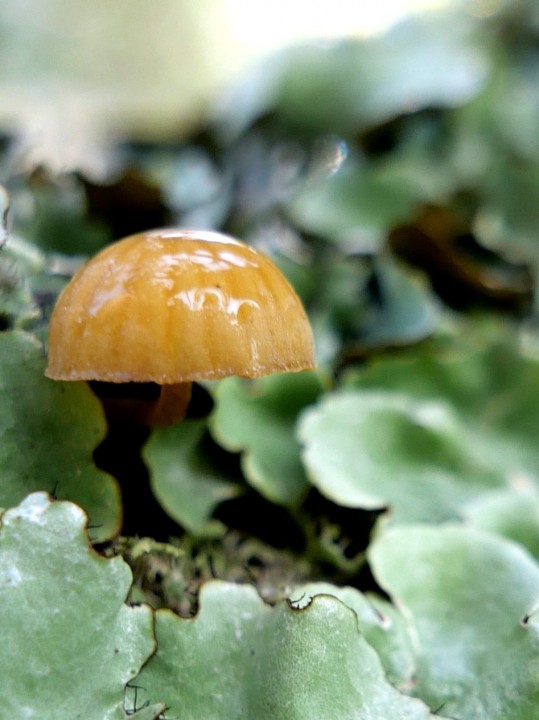 20201226_114840.JPG
