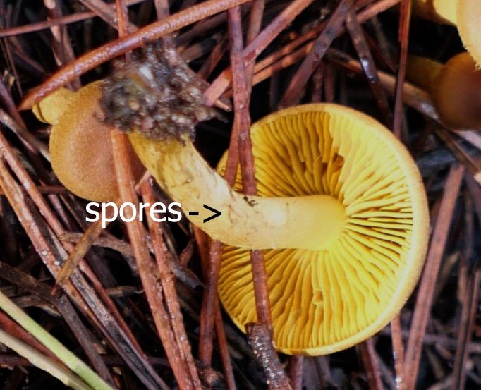 20201221_101700.jpg