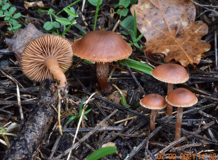 DSC_1597_01.JPG