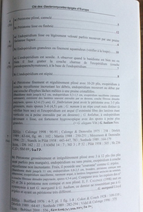 1C4D8C52-07A5-4C85-B621-5F404DC5676B.jpeg