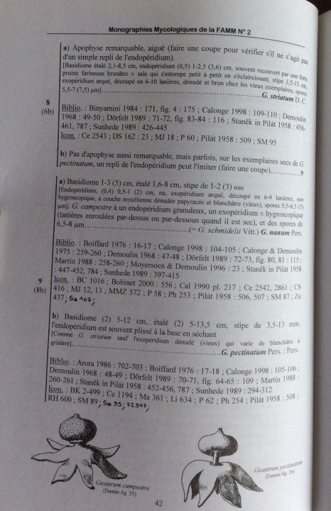 C5170623-DB4B-4FAE-912F-4EB8B024EFAD.jpeg