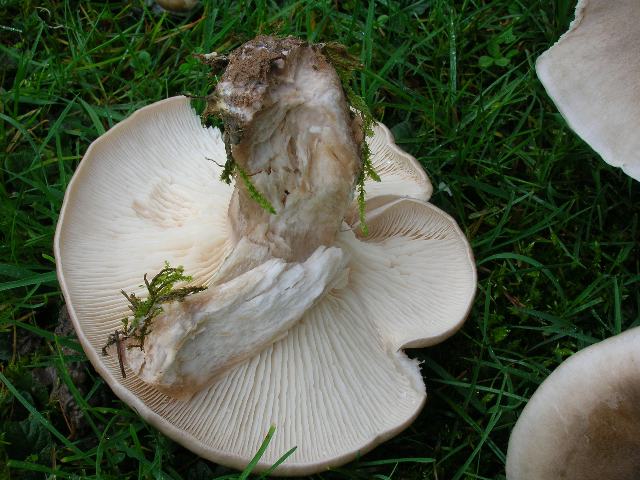 DSCN3368_640x480.jpg