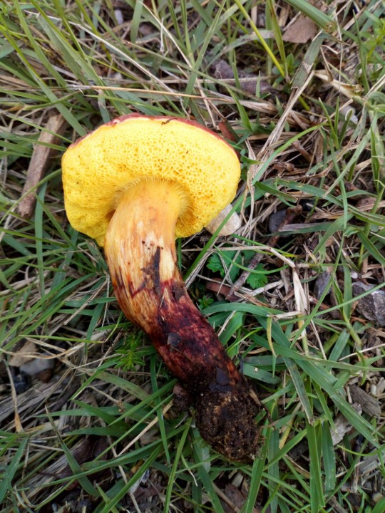 DSC_0306.JPG