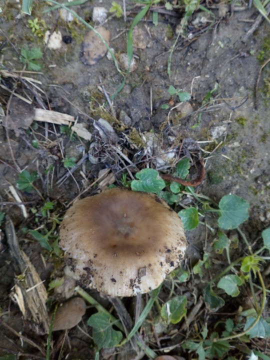 DSC_0777.JPG