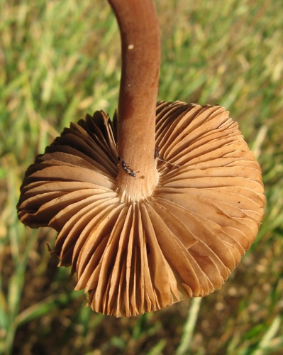 jeudi (22).JPG