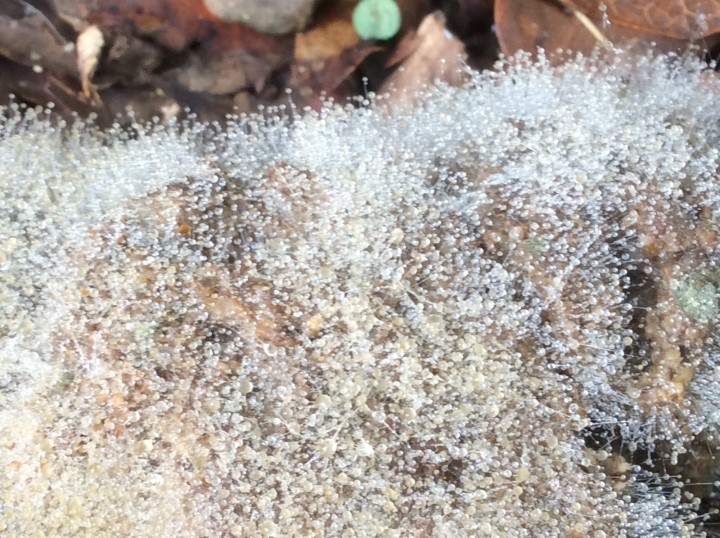 71C8602A-4321-4D48-A76C-39D1CA6D6806.jpeg