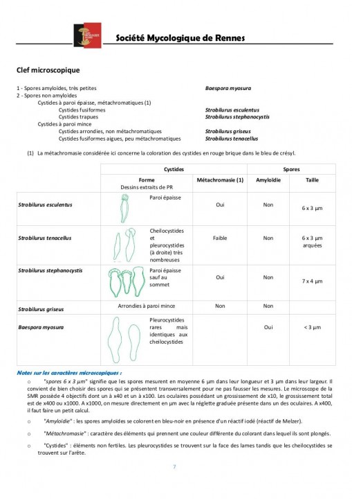 Société Mycologique de Rennes. Lettre d'informations n _01p7.jpg