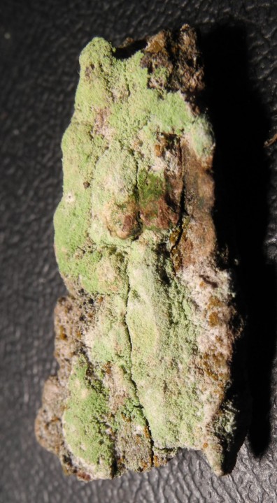 fragment 4 nature.jpg