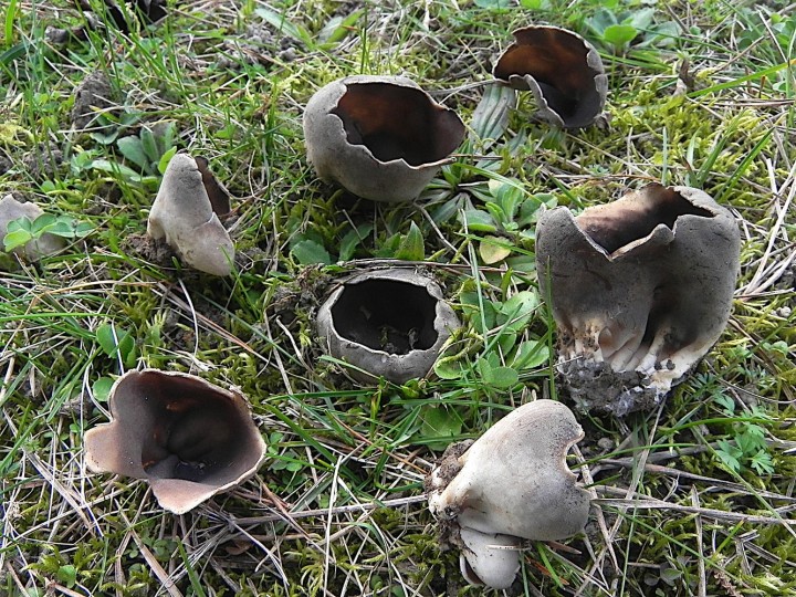 DSCN7971b.JPG