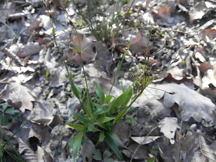 DSCN8161b.JPG