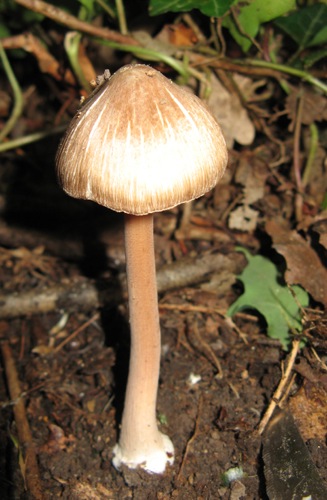 0080.JPG