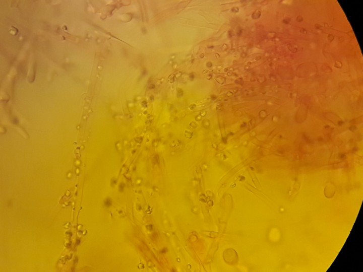 20210322_192740.jpg
