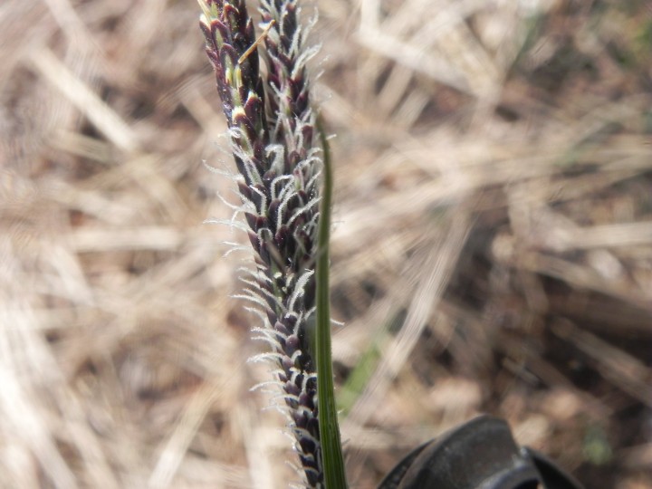 DSCN8228.JPG