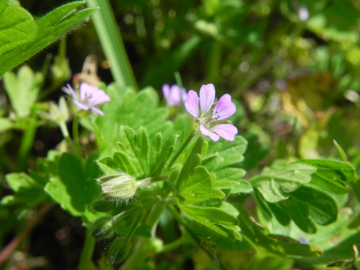 DSCN8124.JPG