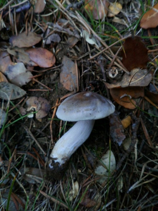 DSC_1102.JPG