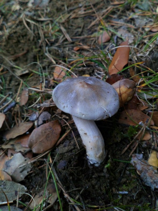 DSC_1125.JPG