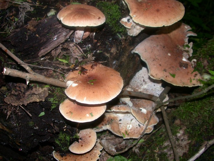 DSCN2263.JPG
