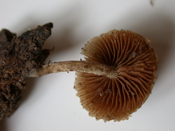 ROLY 27sep08  708.JPG