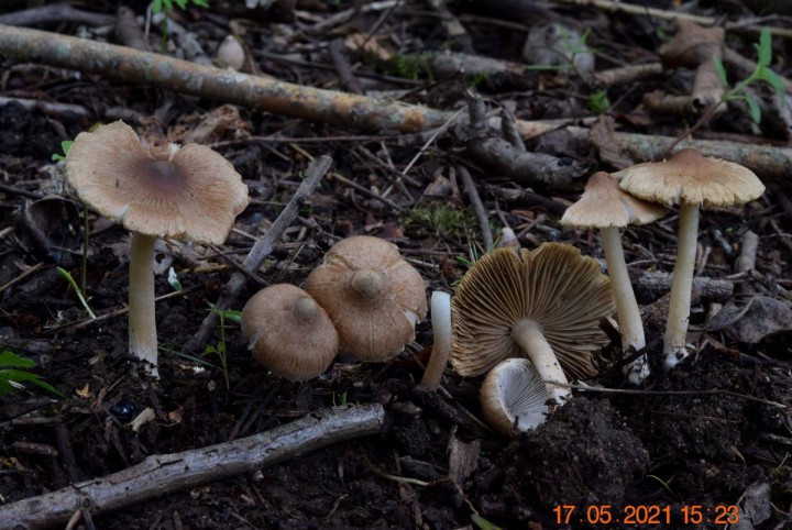 DSC_1672_01.JPG