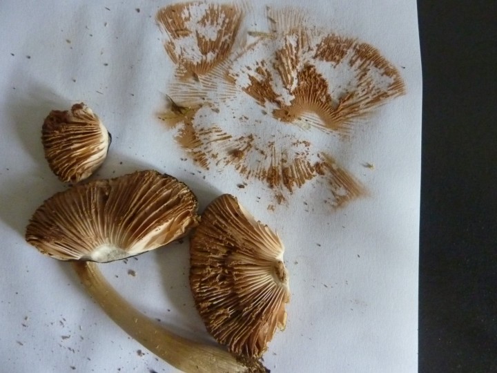 P1110392.JPG