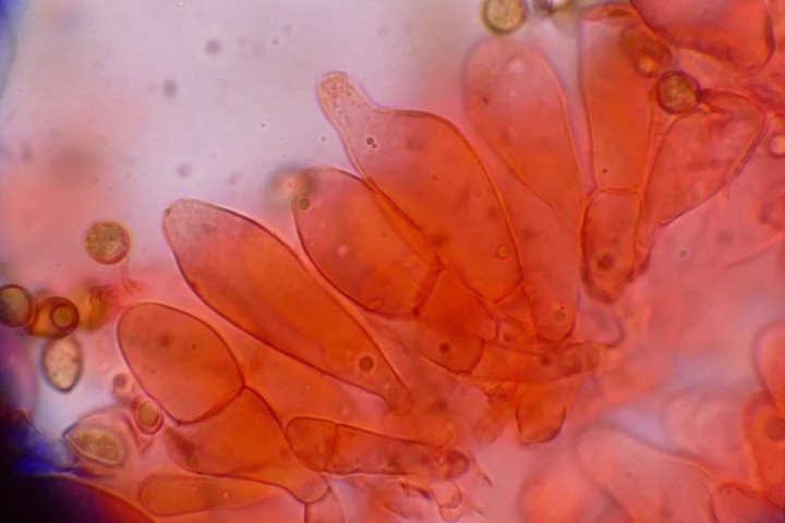photo 7.JPG