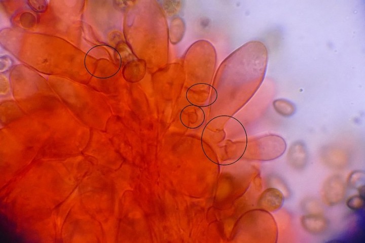 photo 8.JPG