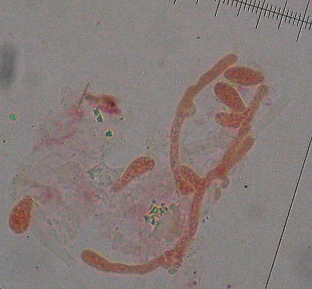 STB_3579web.jpg
