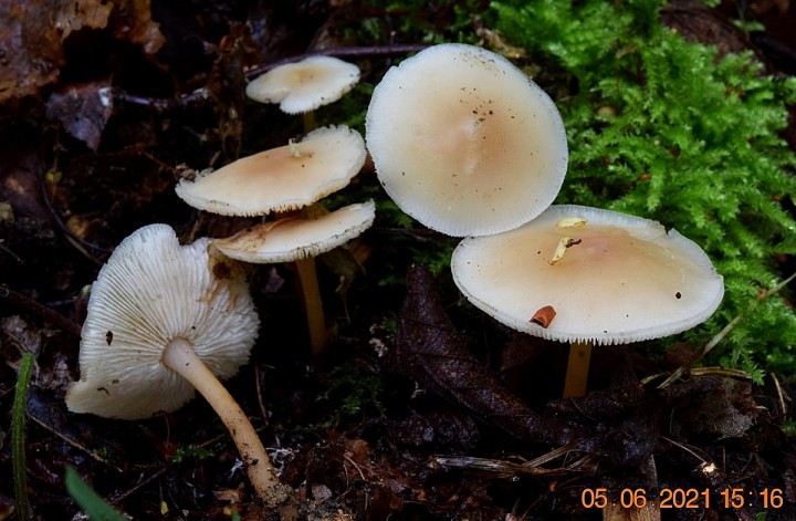 DSC_1734_01.JPG