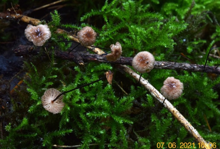 DSC_1754_01.JPG