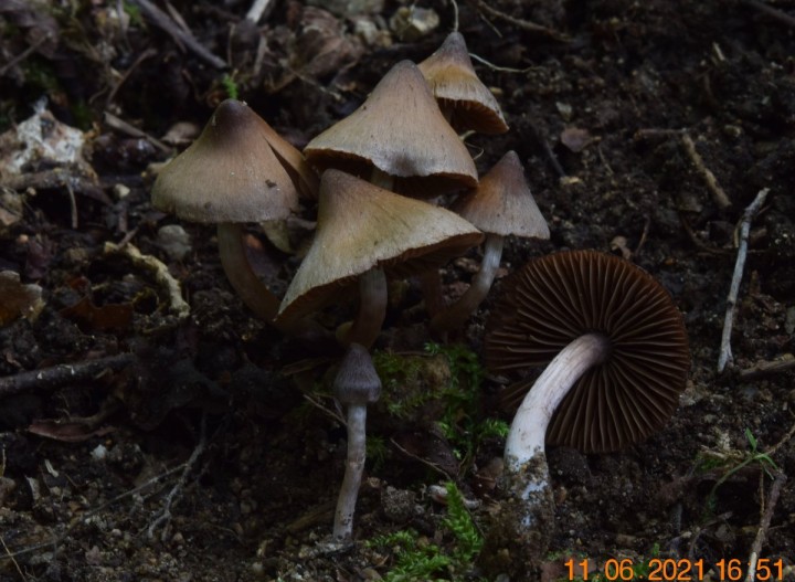 DSC_1776_01.JPG