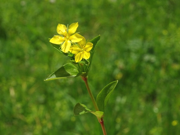 DSC00745b.JPG