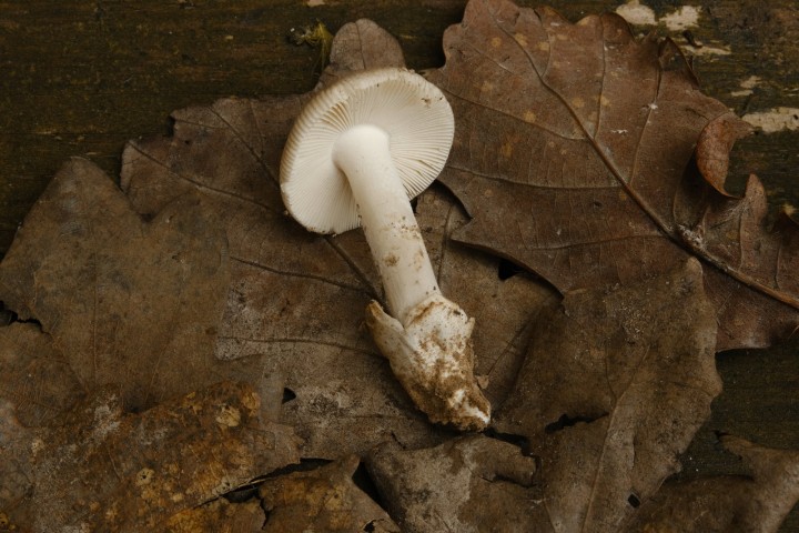 DSCF1089.JPG