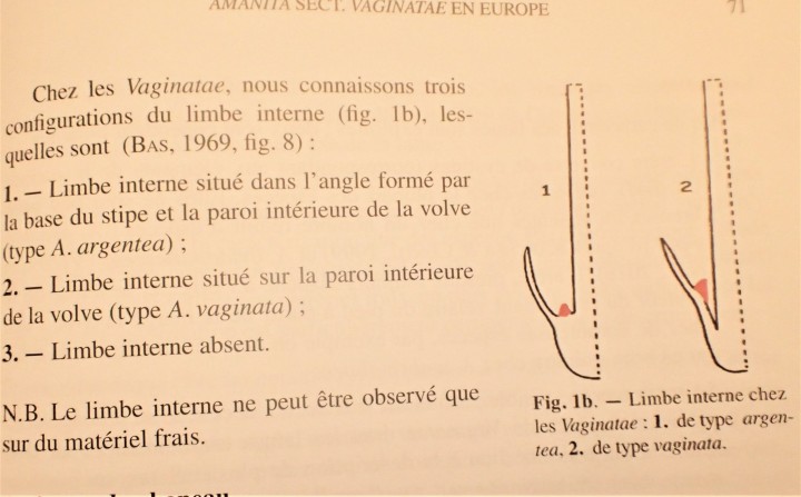 P6203669.JPG