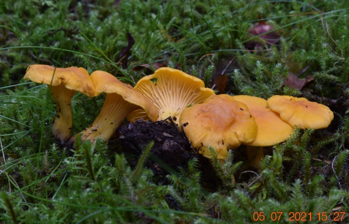 DSC_1898.JPG
