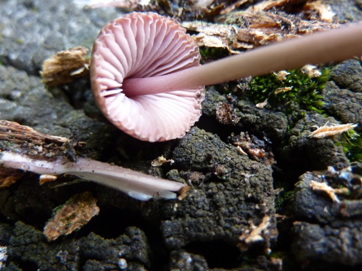 P1110573.JPG