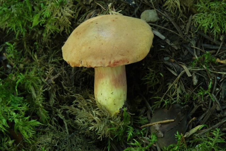 DSCF1792(édité).jpg