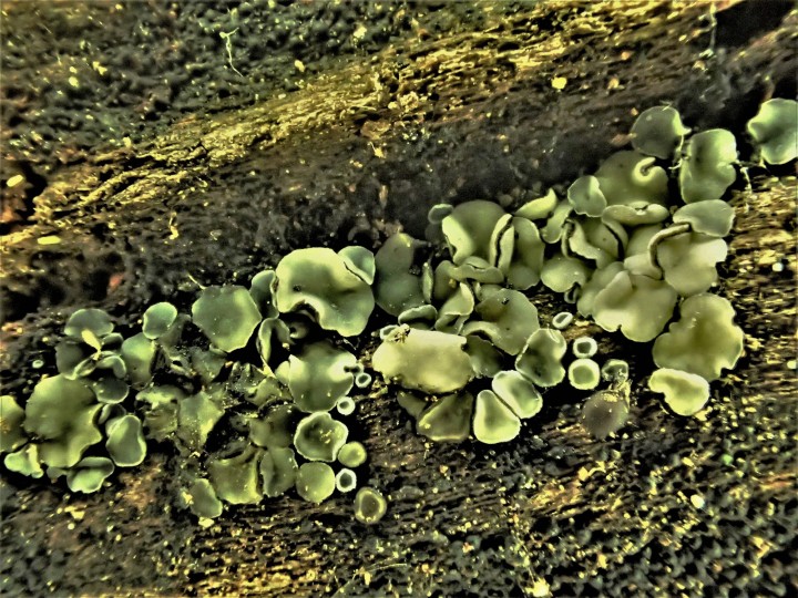 P3013037.JPG