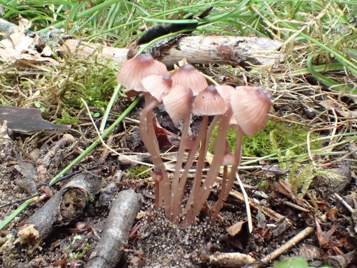 P6304043.JPG
