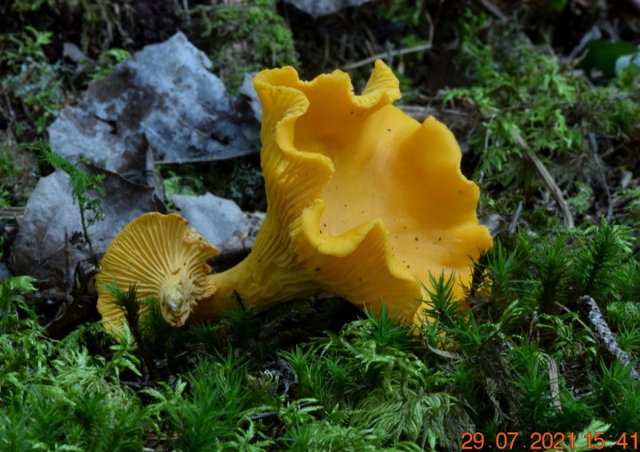 DSC_2059.JPG