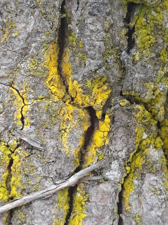 Détail.jpg