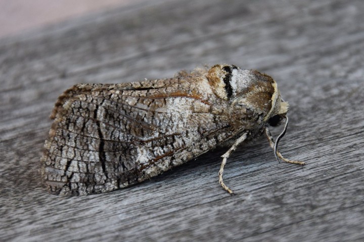 DSC_1693.jpg