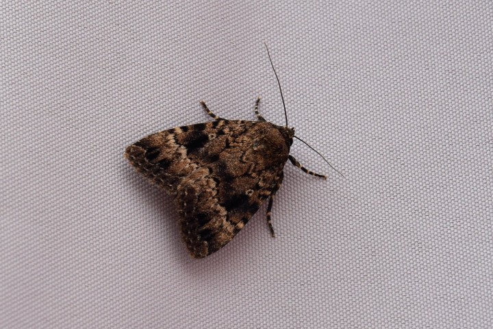 DSC_1728.jpg