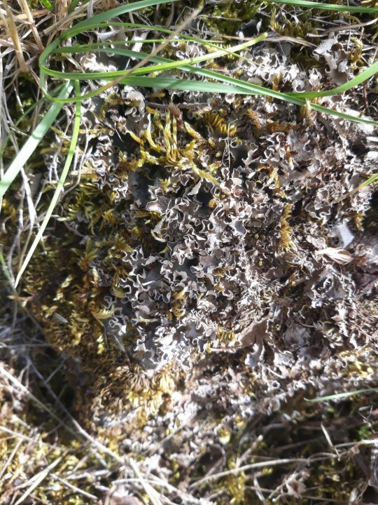 20210805_160827.jpg