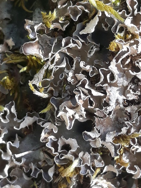 20210805_160831.jpg