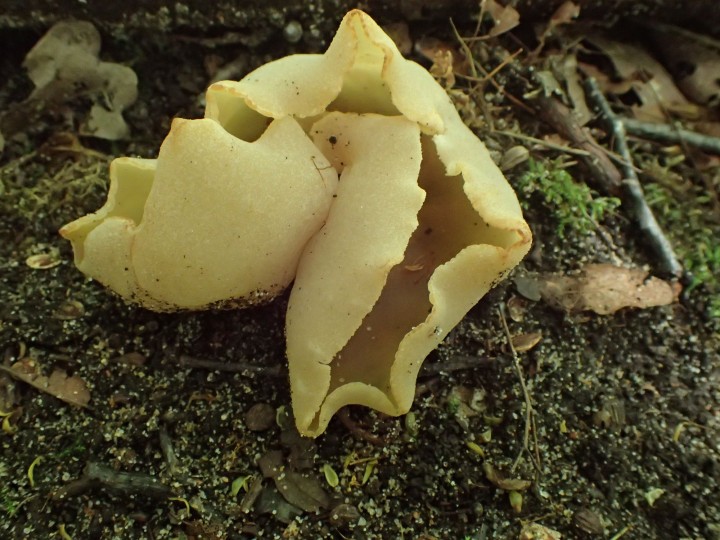 P7084350.JPG